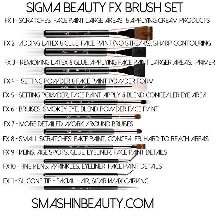 Sigma Beauty FX Brush Set Review